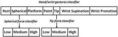 Simultaneous sEMG Classification of Hand/Wrist Gestures and Forces